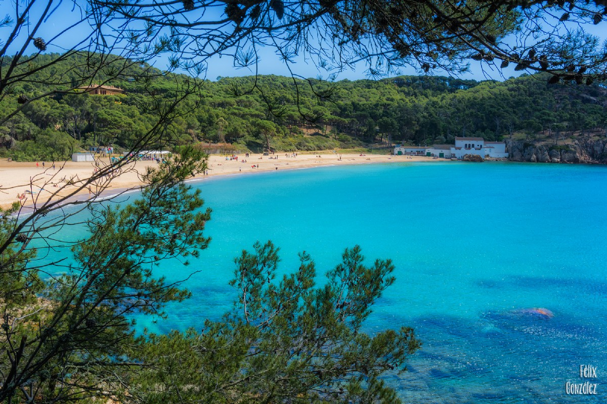 Resultado de imagen de palamos   Agulla de Castell